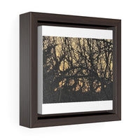 Square Framed Premium Gallery Wrap Canvas