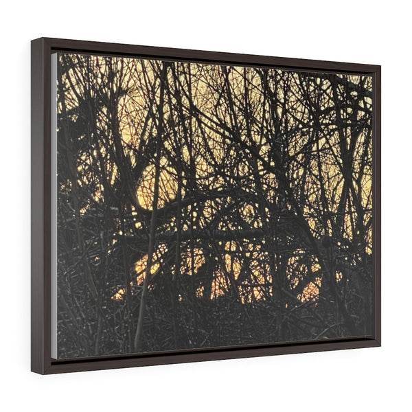 Copy of Horizontal Framed Premium Gallery Wrap Canvas